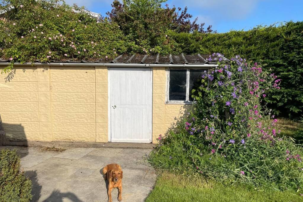 3 Bed Bungalow In Winchcombe, Cotswolds,Gloucester Luaran gambar